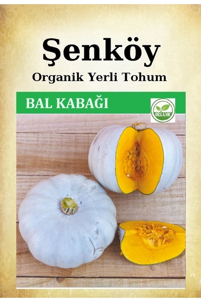 Şenköy Yerli Bal Kabak Tohumu Doğal Içi Turuncu Bal Kabağı Ata Tohum Pakette ...