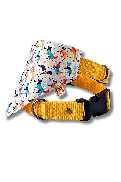 UTDpet Active Dog Collar with Scarf