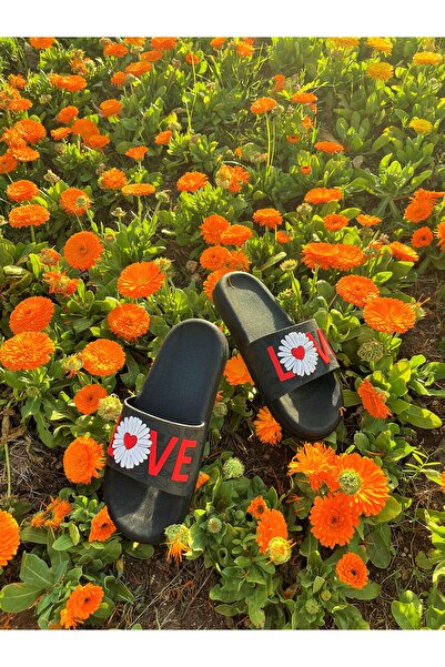 GEZER TALPA IMPOSSIBLE MORCOS DE MARE PLAJA GRADINA LOVABO PAPUCI DE PARDOSELI UMEZI