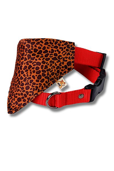 UTDpet Leopard Dog Collar with Scarf