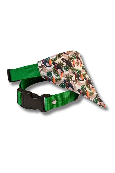 UTDpet Toco Dog Collar with Scarf Medium