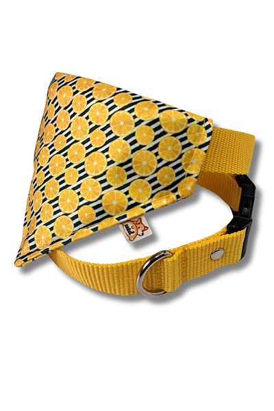 UTDpet Lemona Dog Collar with Scarf