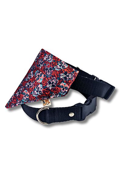 UTDpet Muertos Dog Collar with Scarf