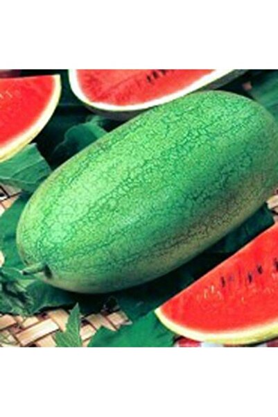 Köy Tohumları 10 Adet Tohum Organik Çarliston Charliston Gray Karpuzu Karpuz ...