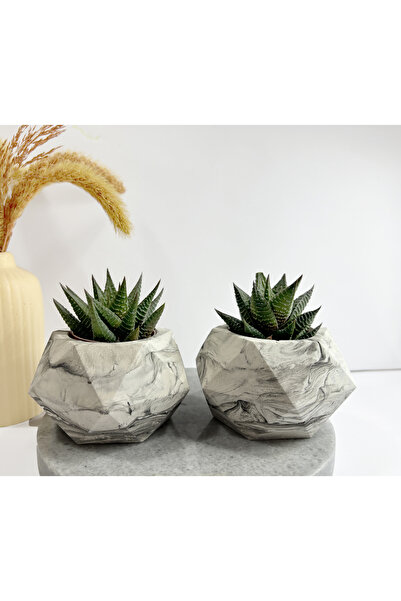Sukulent Canlı Çiçek Ve Geometrik Mermer Görünümlü Saksı 2'li Haworthia Limif...
