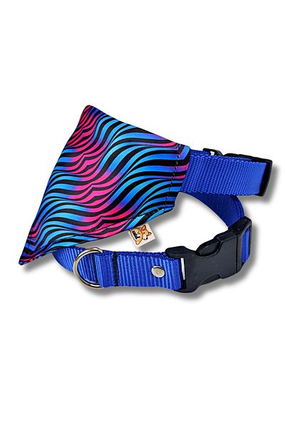 UTDpet Turquoise Scarf Dog Collar