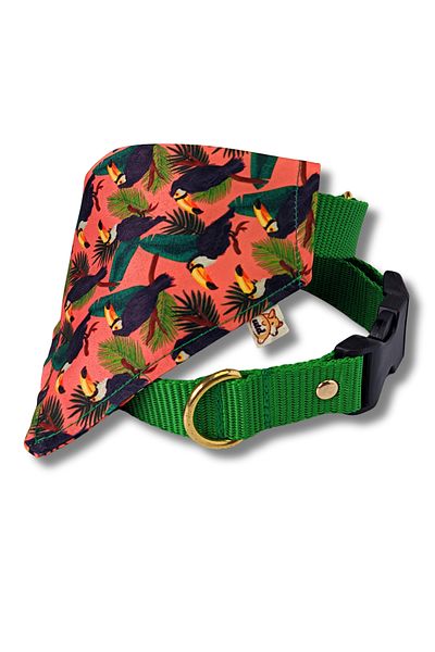 UTDpet Dog Collar with Toucan Scarf