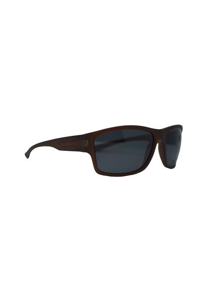 Swing Sunglasses Ss239 C216