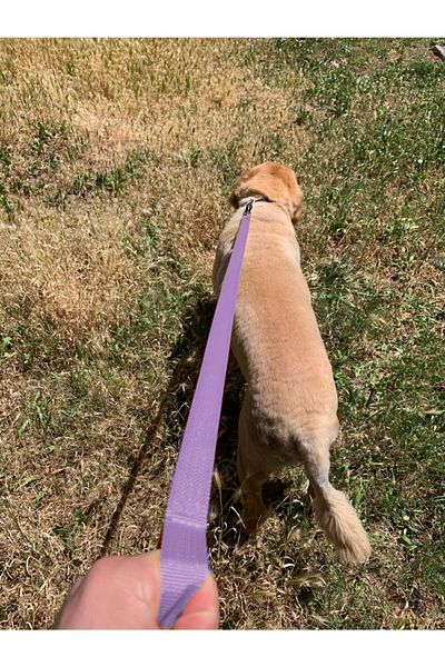 Petbag Leash Handle Leash Strap