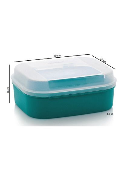 Tupperware Green Midi Storage Container - Cookie Pastry Nutrition Container, Hsgl