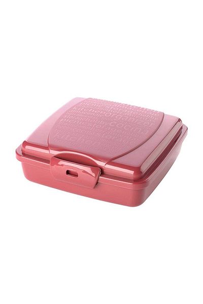 Titiz Takeaway Lunch Box - Storage Container 550 Ml(SARIRENK)