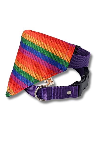 UTDpet Dog Collar with Rainbow Scarf