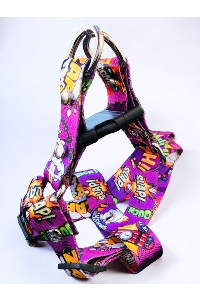 Angelapets Köpek Göğüs Tasması Ve Gezdirme Kayışı Set Grafıty Serisi