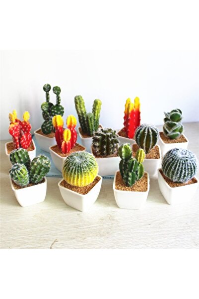 Köy Tohumları 100 Adet Tohum Nadir Organik Karışık Kaktüs Çiçeği Tohumu Kaktü...