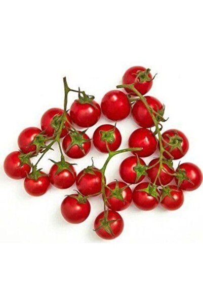 Köy Tohumları 30 Adet Tohum Nadir Kırmızı Tatlı Bezelye Minik Domates Tohumu ...