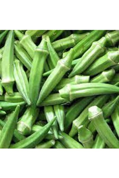 Köy Tohumları 150 Adet Tohum Nadir Organik Taze Hasat Sultani Köy Bamyası Bam...