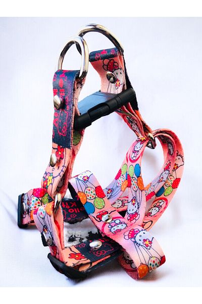Angelapets Dog Chest Collar, Walking Strap Set Cars Series