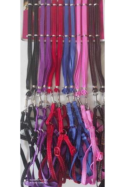 Royalist 10 mm Color Chest Set 60 cm Length - Black Color