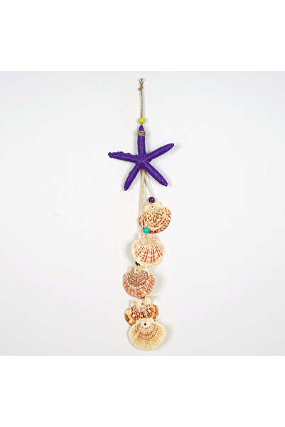 Decorative Shell Colored Star Wall ornament