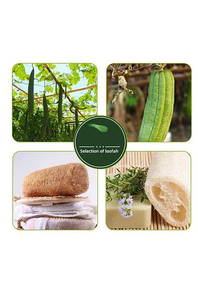 BEYZANA Natural Pumpkin Fiber Washcloth - Bath Facial Care Washcloth for Cellulite and Acne