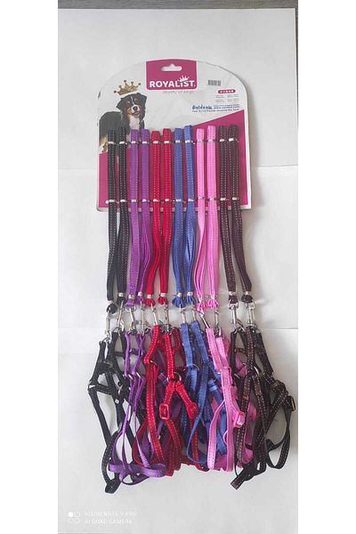 Royalist 60 cm Length Purple Color 10 mm Chest Set