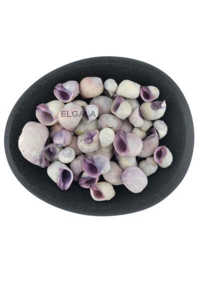 ELGALA Deniz Kabuğu Doğal Midye Kabuğu 100 Gram Cebu Beauty