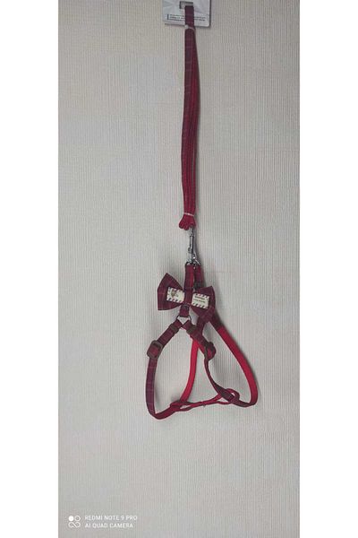 Royalist 15mm*1200 cm Blue Color Dog Neck Suit