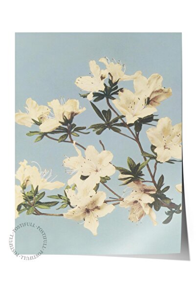 Postifull Çerçevesiz Poster Tablo, Duvar Posteri, Sanatsal Baskı, Kır Çiçekle...