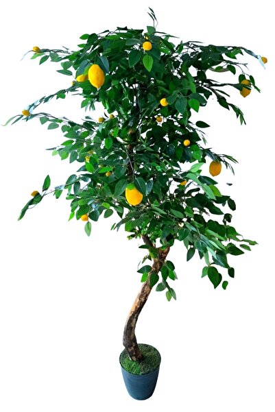 YEŞİLADA Limon Ağacı Yapay Ağaç Limon Meyveli 1.80 Mt Boy Meyve Ağacı Limon