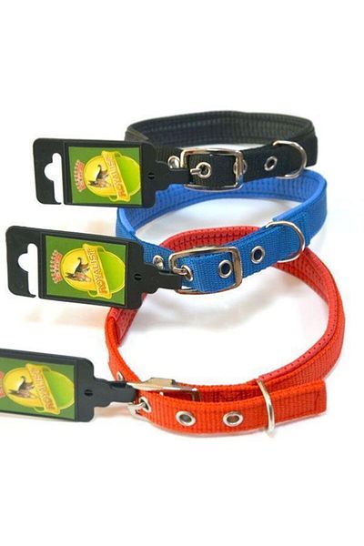 Royalist 20 mm Blue Color Soft Textured Dog Collar