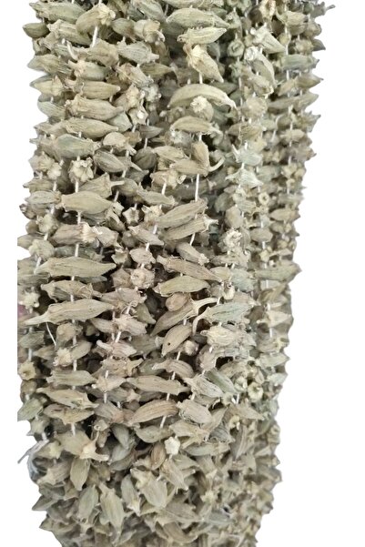 Türkiyem Organik Ürünler Bamya Kurusu Orta Boy 500 gr