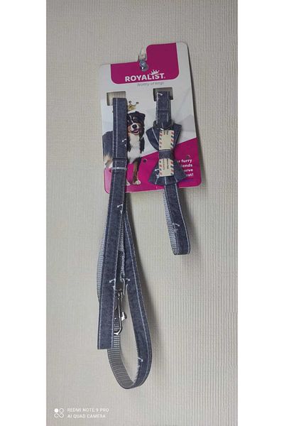 Royalist GRAY COLOR DOG NECK SET CHEST 15MM*1200 CM