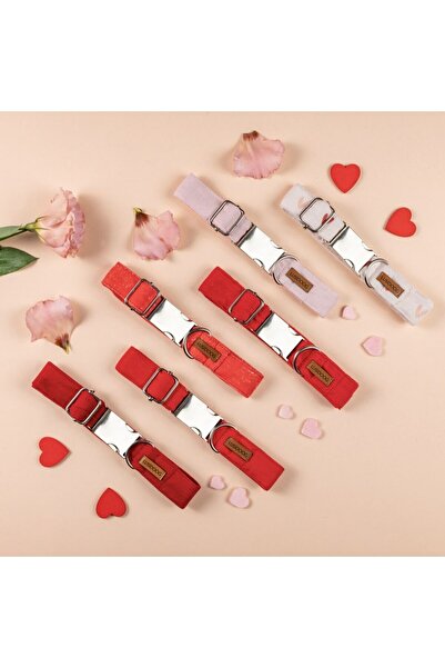 Lusi Doog Kalpli Pembe Köpek Boyun Tasması