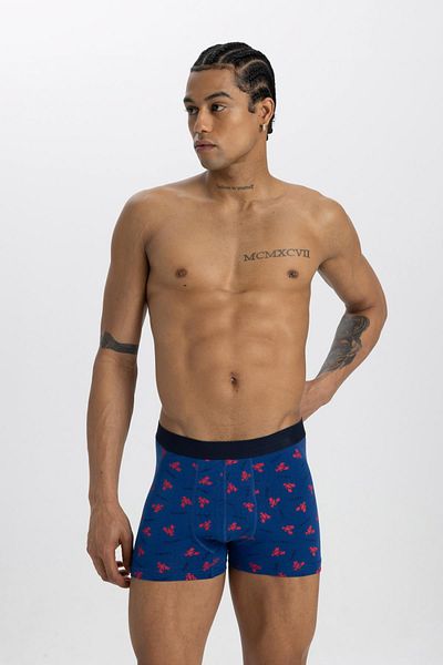 DeFacto Regular Fit 3-pack Boxer C3291ax24sm