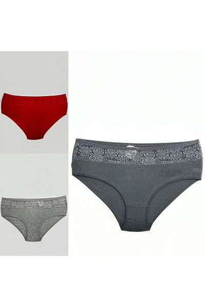 Clara Butik 3-Piece Women's Panties Recovery High Waist Lace Bato (Extra Soft and Flexible)