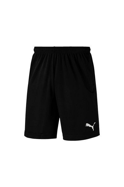 Puma Pantaloni scurti de alergare pentru bărbați, cu uscare rapidă, pentru antrenament în micropoli, pentru fitness, în aer liber