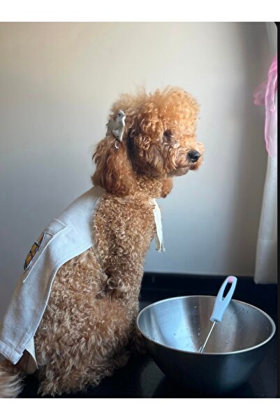 TofiTowel Patili Cocuk Parti Önlüğü