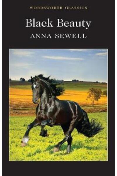 Wordsworth Black Beauty