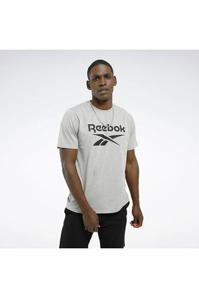 Reebok Identity Stacked Logo Men's Gray Round Neck T-Shirt