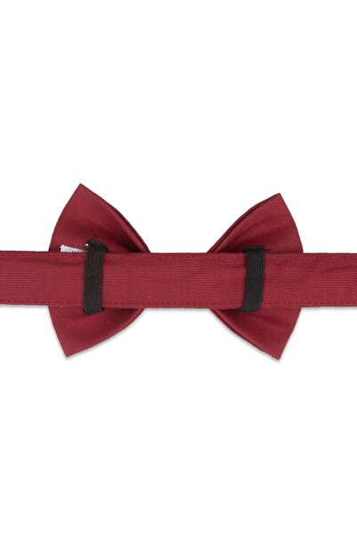 Lusi Doog Dog Collar with Burgundy Bow Tie Special for Female Dogs