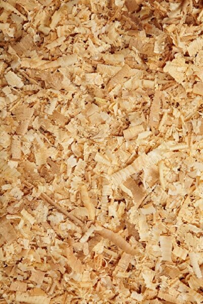 worldofwood Tavşan Hamster Ginepig Ve Kemirgen Tozsuz Çam Talaşı 1 KG