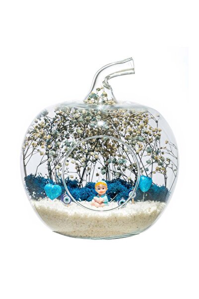 Home Teraryum Aramıza Hoşgeldin Bebek-Erkek