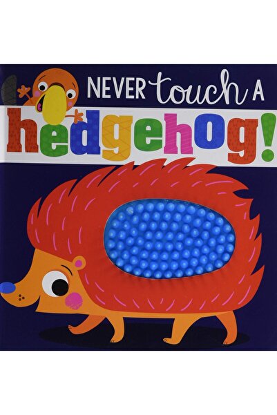 Make Believe Ideas Never Touch a Hedgehog!
