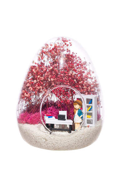 Home Teraryum Yeni İş Tebriği Sarışın