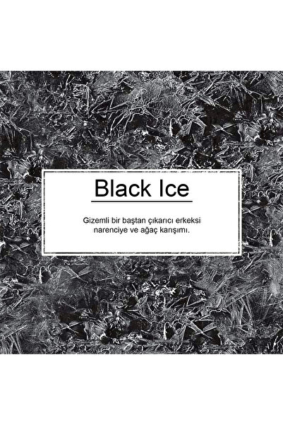İnterwax Little Trees 3'lü Set Black Ice / Bubble Gum / Midnight Chic Asma