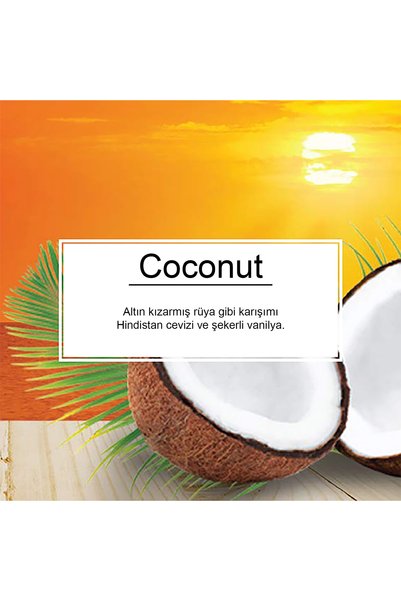 Little Trees Coconut Hindistan Cevizi Aromalı Oto Araç Asma Kokusu
