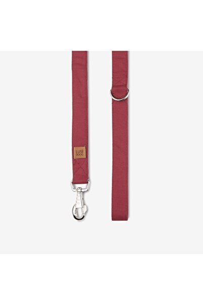 Lusi Doog Dog Collar and Travel Strap Set