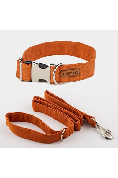 Lusi Doog Dog Collar and Travel Strap Set
