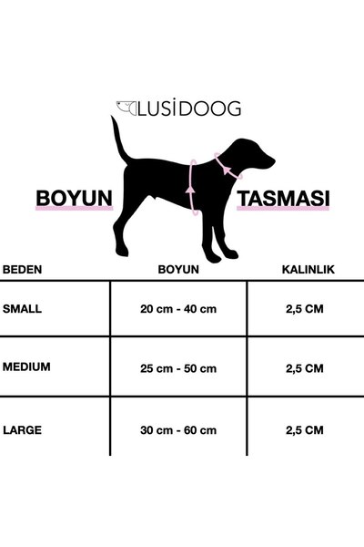 Lusi Doog زهرة منقوشة طوق الكلب