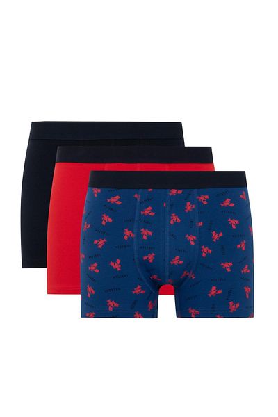 DeFacto Regular Fit 3-pack Boxer C3291ax24sm
